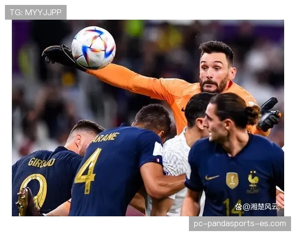 琼阿梅尼身价与场上表现匹配度分析