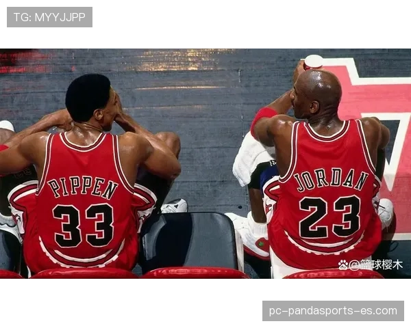 皮蓬挡拆效率显著领先乔丹拉开球队攻防差距