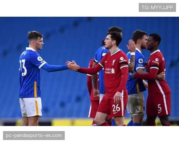 落地支撑手如何界定手球犯规，裁判拿捏难点解读