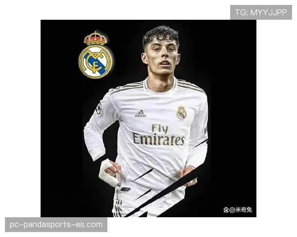 本泽马 vs 凯恩：进攻效率与战术角色差异