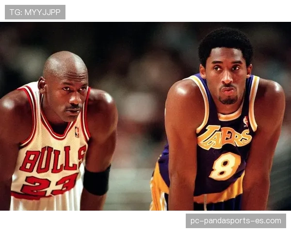 篮球罚球规则详解：NBA与FIBA在罚球线距离与违例判定上有何不同？