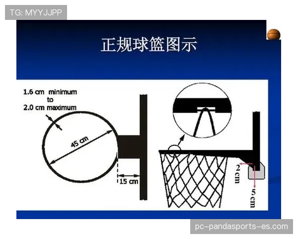 篮球规则深度解析：技术犯规如何界定